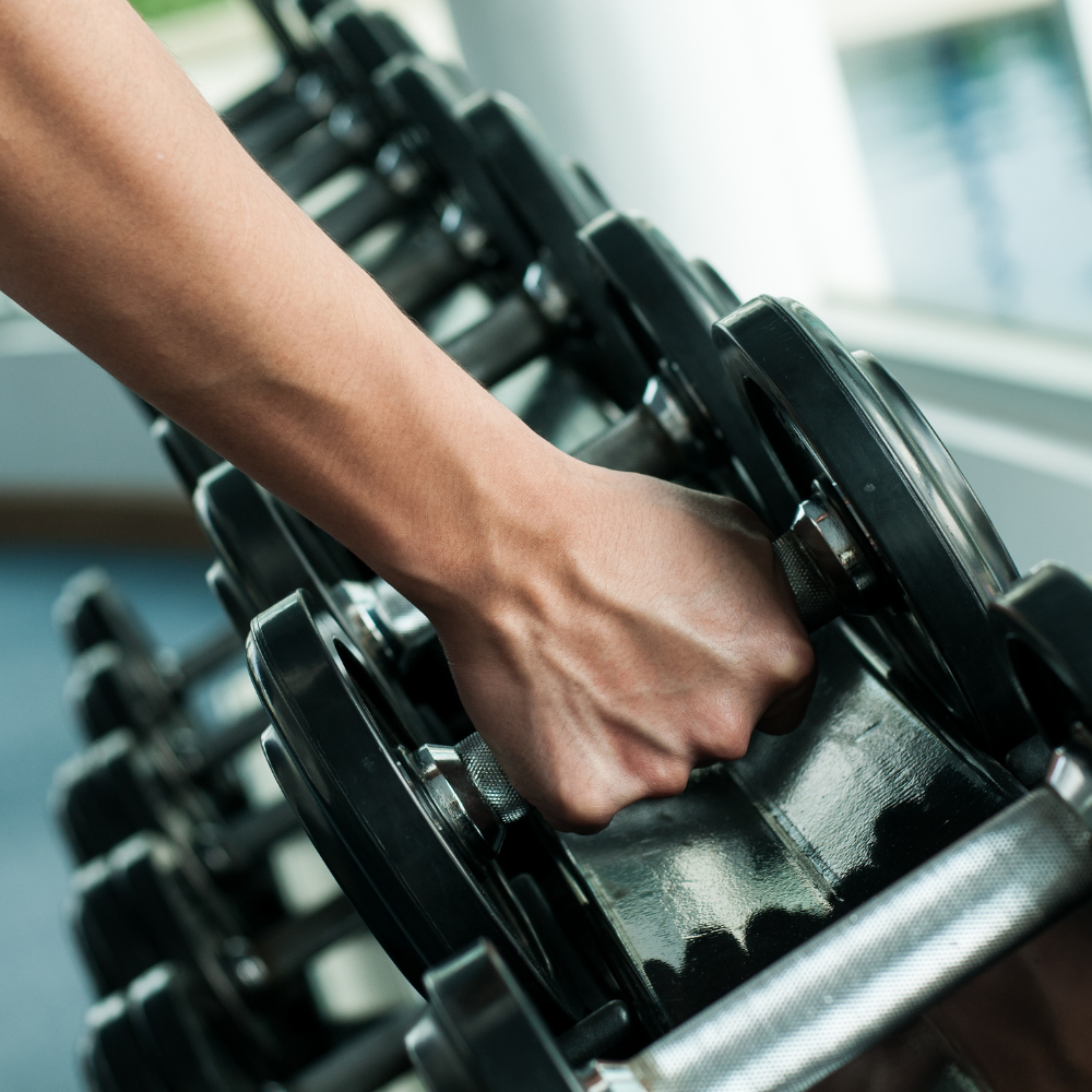 Gym Equipment